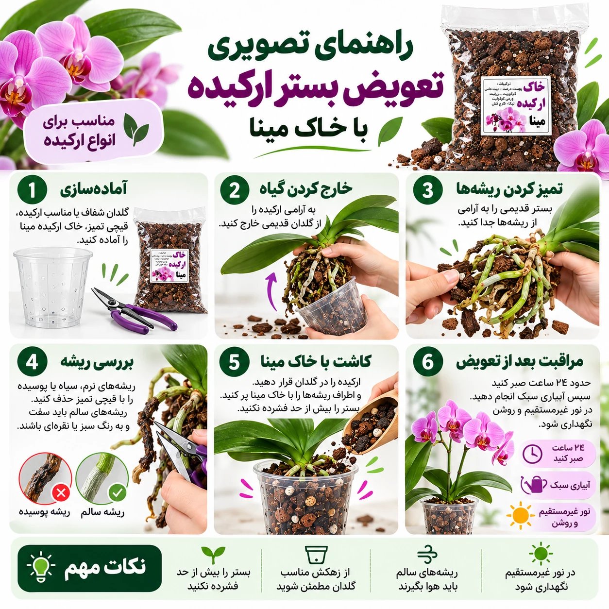 راهنمای تصویری تعویض بستر ارکیده